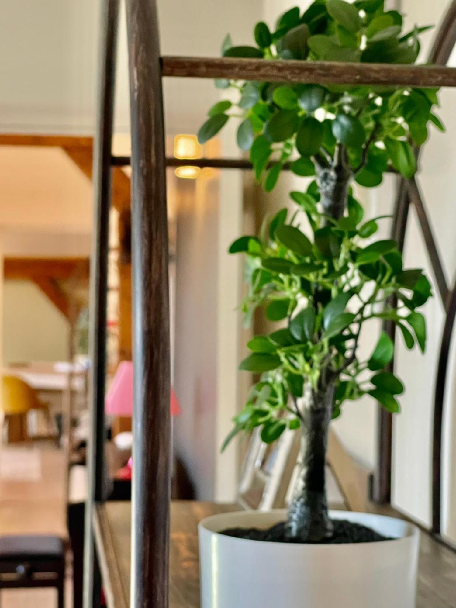 Appartement Beauregard